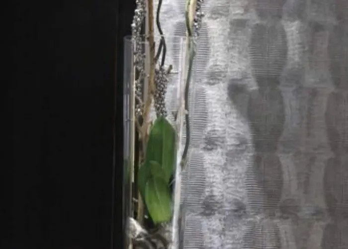 Hotel The Originals Du Grand Monarque Gare 2*